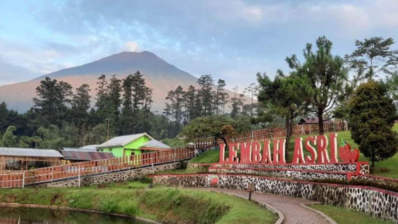 Menyegarkan Diri di D’Las Lembah Asri Serang Purbalingga, Wisata Sejuk yang Bikin Betah