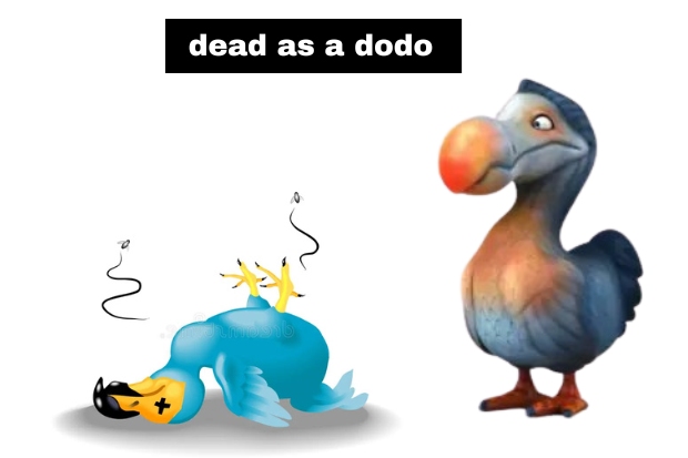 Dodo dalam Budaya