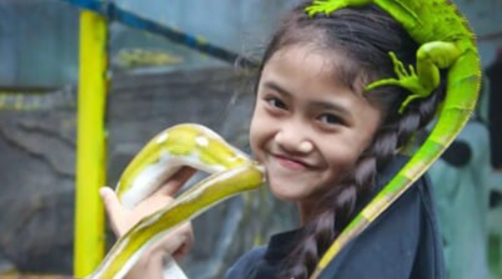 Koleksi Hewan di Taman Reptil Purbalingga yang Bikin Terkesima