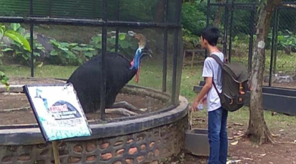 Taman Reptil Purbalingga Jadi Wisata Edukasi Favorit