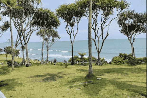 Aktivitas seru di sekitar pantai