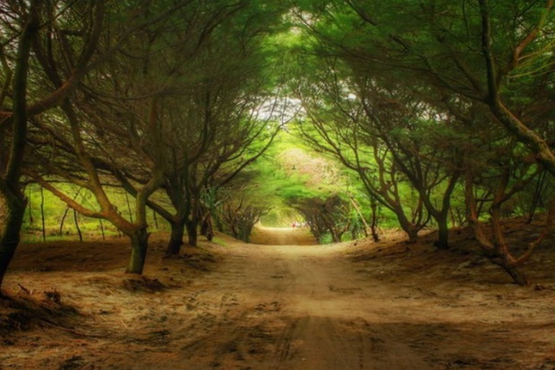 Pantai Teduh untuk Keluarga di Jogja