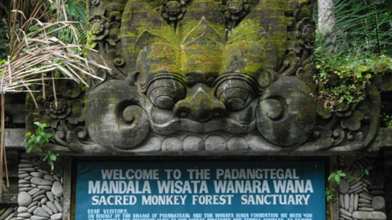 Pesona Mandala Suci Wenara Wana, Ikon Wisata Ubud Bali