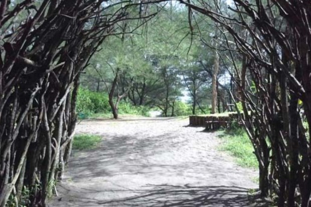 Aktivitas Seru untuk Keluarga di Pantai Goa Cemara