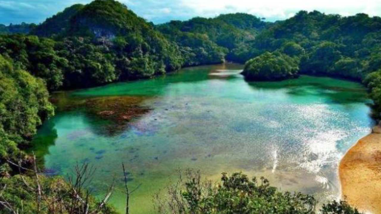 Segara Anakan Pesona Laguna Eksotis di Ujung Selatan Cilacap
