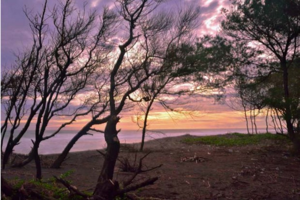 Tiket Masuk dan Fasilitas Terbaru Pantai Goa Cemara