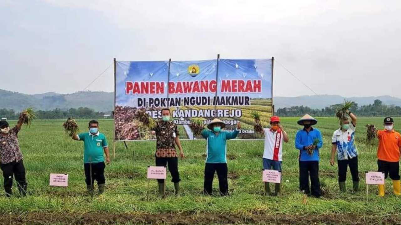 Komunitas Petani Bawang Merah Kunci Ketahanan Pangan Daerah