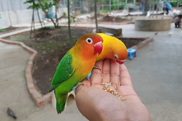 Objek Wisata Keluarga Palembang yang Nyaman dan Edukatif