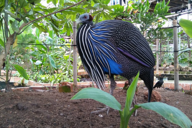 Wisata Edukasi Palembang yang Ramah Anak dan Keluarga