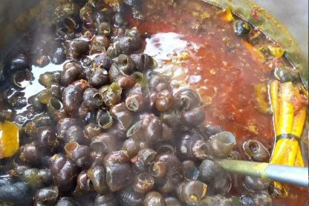 Mengenal Tutut sebagai Bahan Masakan