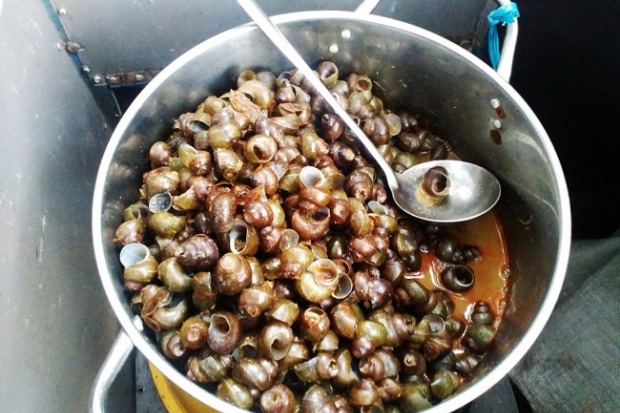 Persiapan Bahan dan Bumbu