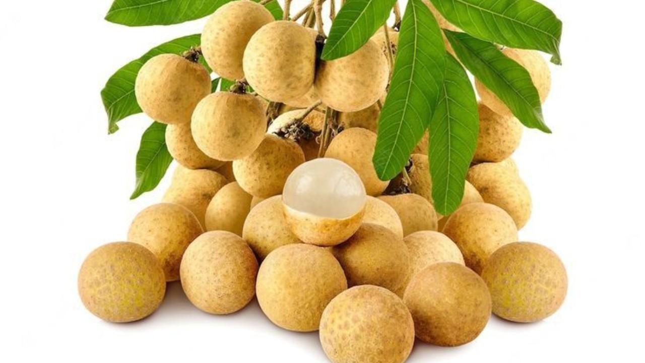 Buah Kelengkeng yang Manis dan Segar