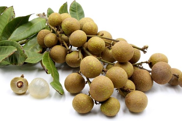 Kandungan Gizi Buah Kelengkeng