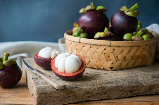 buah manggis yang kaya akan manfaat